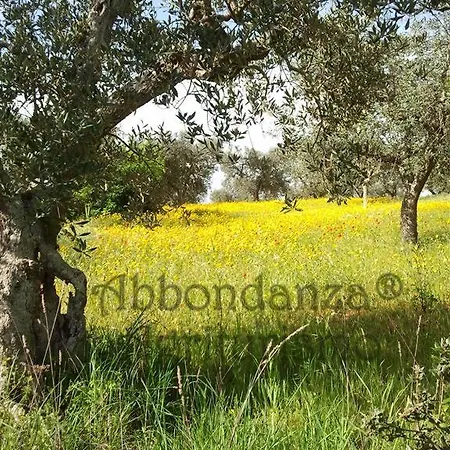 Farma Agriturismo Abbondanza