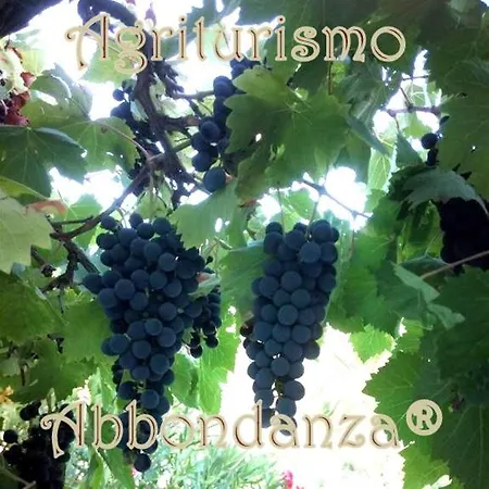 Agriturismo Abbondanza Farma